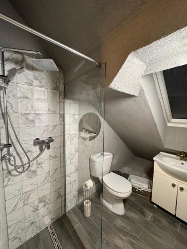 a bathroom with a shower and a toilet and a sink at Skido in Braşov