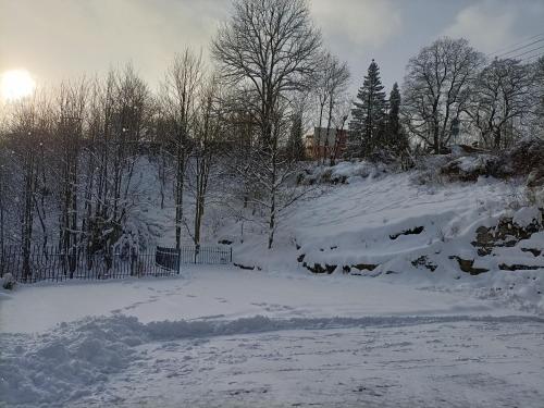シュクラルスカ・ポレンバにあるKurzacka Chataの雪に覆われた庭