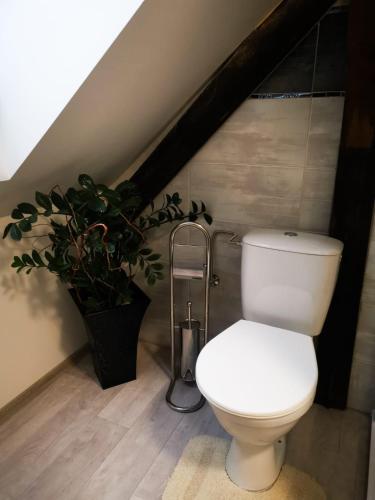 a bathroom with a toilet and a potted plant at ubytování U NIKY in Hodonín