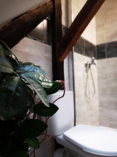 a bathroom with a toilet and a plant next to a shower at ubytování U NIKY in Hodonín