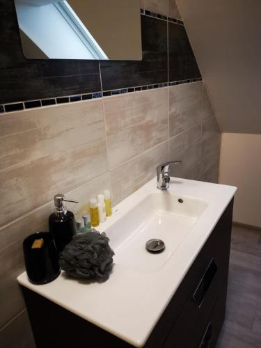 a bathroom with a white sink and a mirror at ubytování U NIKY in Hodonín