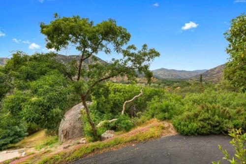 a tree sitting on the side of a road at SEQUOIA LOOKOUT LODGE in Three Rivers