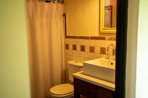 a bathroom with a toilet and a sink and a mirror at Estancia Iberá in Colonia Carlos Pellegrini