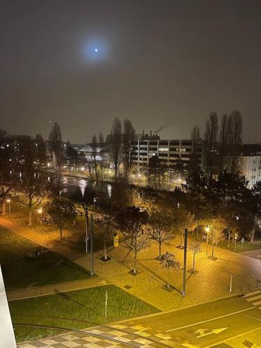 um parque à noite com luzes numa cidade em Superbe appartement avec emplacement idéal em Mulhouse