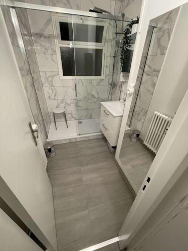 uma casa de banho com uma cabina de duche ao nível do chão e um lavatório. em Superbe appartement avec emplacement idéal em Mulhouse