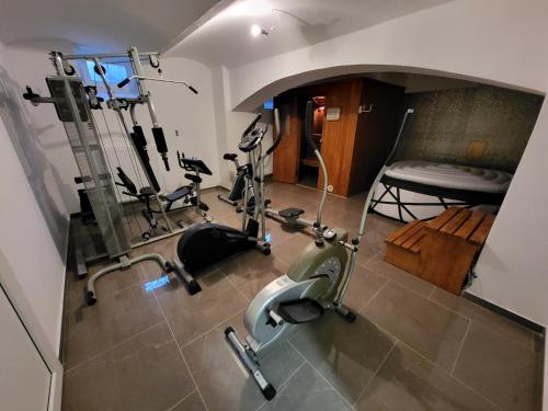 a gym with two treadmills and two exercise bikes at Villa Vino & Grad in Zagreb