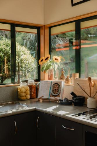 a kitchen counter with a sink and a window at Buffalo Lodge in Coromandel Town