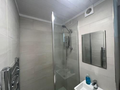 uma casa de banho com um chuveiro e um lavatório. em Dream Weaver Apartment em Swansea