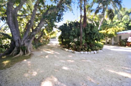 a road with trees on the side of a street at Little Bay Prime in Islamorada