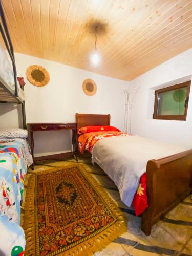 a bedroom with two beds and a rug at La Casita Encendida in Villamayor de Campos