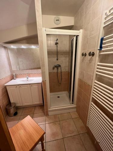 une salle de bain avec douche et lavabo dans l'établissement DUPLEX 50 m2 aux pieds des pistes les saisies hauteluce et contamines montjoie 6 personnes 1 chambre et un coin nuit, à Hauteluce