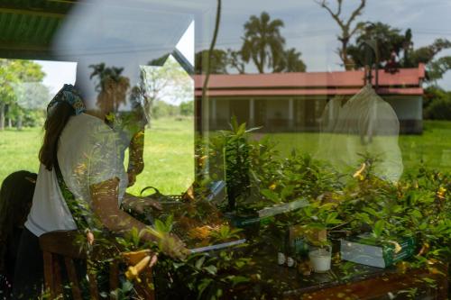 a woman standing in a garden looking at plants at Estancia Iberá in Colonia Carlos Pellegrini