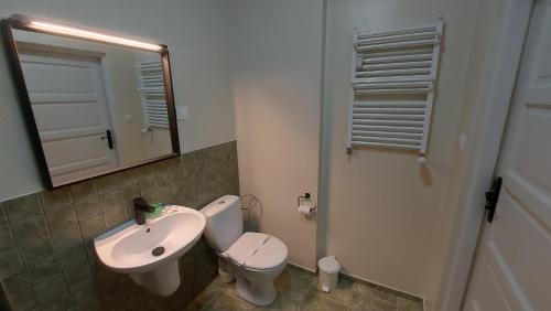 ein Badezimmer mit einem Waschbecken, einem WC und einem Spiegel in der Unterkunft Apartament z rowerami in Misdroy