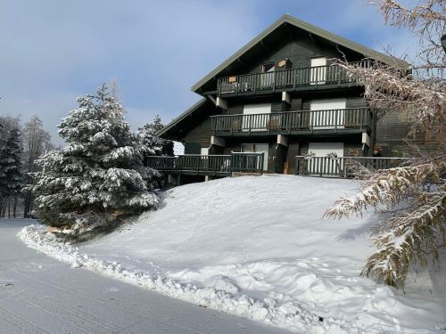 Le Flocon d'Aurouze 509, Appartement 4 personnes, La Joue du Loup