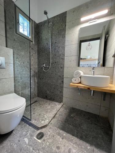 a bathroom with a shower and a toilet and a sink at Villa Filira in Achladies