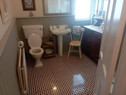 a small bathroom with a toilet and a sink at Lakeside house in Oughterard