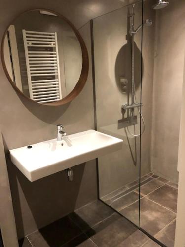 ein Bad mit einem Waschbecken, einem Spiegel und einer Dusche in der Unterkunft Groepsaccommodatie / Familiehuis Bolle Buik, Borrel & Bed Appelscha in Appelscha