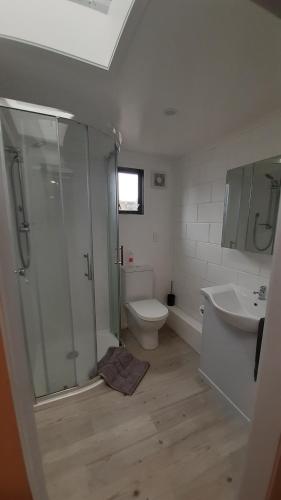 a bathroom with a shower and a toilet and a sink at Nights on Broadway - The APARTMENT in Matamata