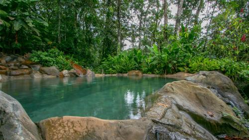 a pool of water with trees and rocks at Chachagua Rainforest Hotel & Hot Springs in Fortuna