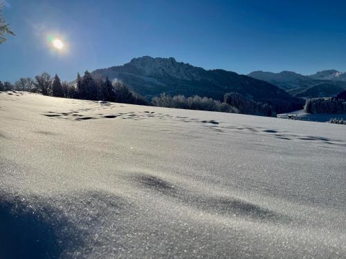 a snow covered field with the sun in the background at Jungholz Chalet 65 in Jungholz