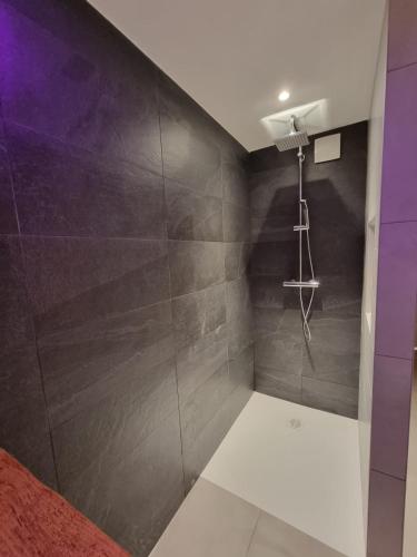 La salle de bains est pourvue d'une douche avec un mur gris. dans l'établissement Gite premium, au Cœur de l'Ours, à Dambach-la-Ville