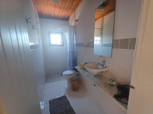 ein Bad mit einem WC und einem Waschbecken in der Unterkunft SUÍTE VISTA LINDA in Cunha