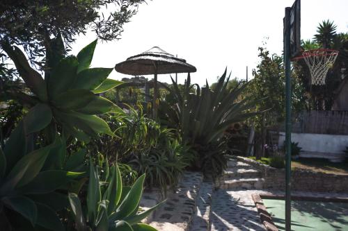 un jardin avec un parasol et quelques plantes dans l'établissement João Jungle, à Açafora