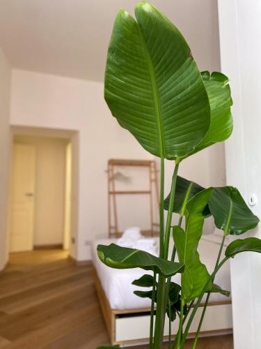 Boho Suites - Rome Colosseum