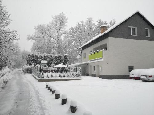 a house covered in snow in front of a yard at Penzion Zelená zahrada in Kladenské Rovné