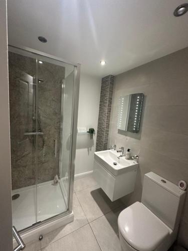 a bathroom with a toilet and a shower and a sink at LUXURY Apartment Belfast City Centre overlooking Custom House Sqaure in Belfast