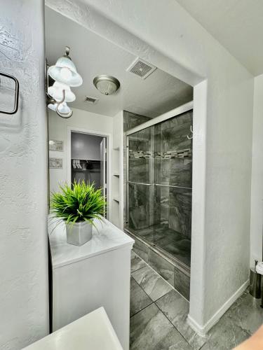 a bathroom with a shower and a plant on a counter at West PHX Cozy king suit with private bathroom Inside a house in Phoenix