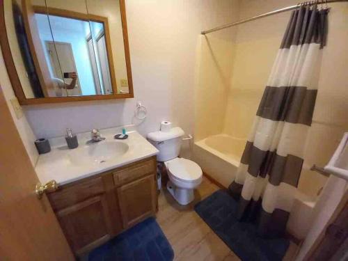 a bathroom with a sink and a toilet and a shower at Ottawa’s Finest - Located Close to Downtown! in Ottawa