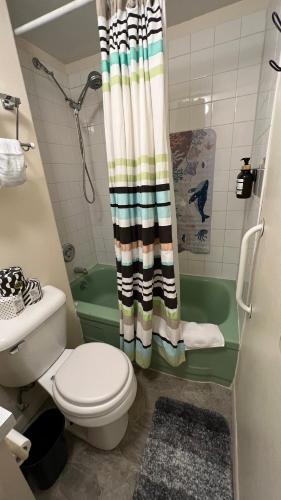 a bathroom with a toilet and a shower curtain at Blue Heron Sanctuary & Serene, river-front cottage in West Linn
