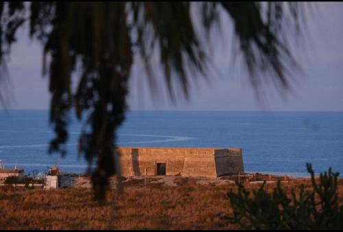 a building in front of the water with a tree at BlueMar in Almería
