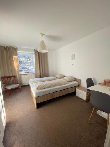 sypialnia z łóżkiem, krzesłem i oknem w obiekcie W28 / Beethoven room w Pieszczanach