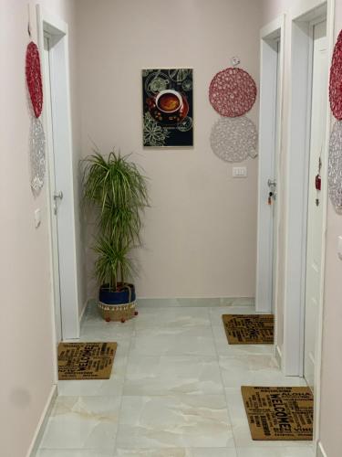 a hallway with two doors and a potted plant at JD Luxury Apartments in Vlorë
