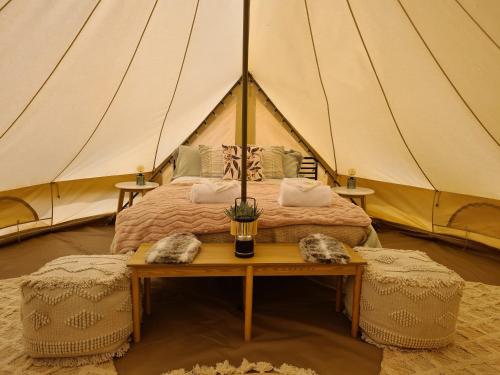 a bedroom with a bed in a tent at Mungo Lodge in Mungo