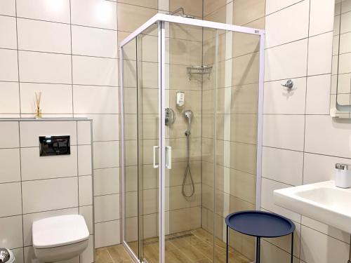 a bathroom with a shower with a toilet and a sink at Bilychi - садиба у Карпатах in Bilichi