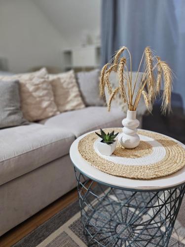 a coffee table with a plant on it in front of a couch at Modern Studio near Düsseldorf Airport & Messe/Fair in Meerbusch