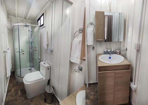 a small bathroom with a toilet and a sink at Hospedaje Santa Ana in Circasia