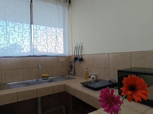 a kitchen with a sink and a flower on a counter at Luna Lodge in Fortuna