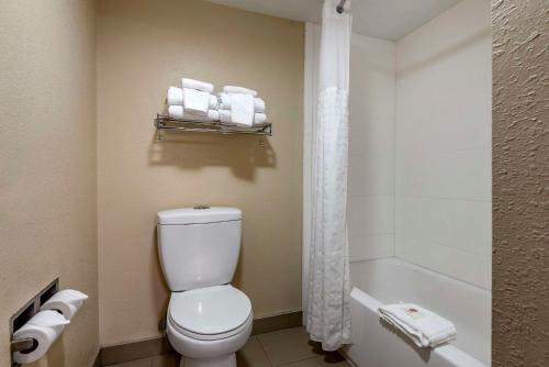 a bathroom with a toilet and a shower and towels at Comfort Inn Matthews / Charlotte in Matthews