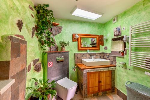baño verde con lavabo y aseo en Las Casas de la Rueda - El Patio, en Santa Lucía
