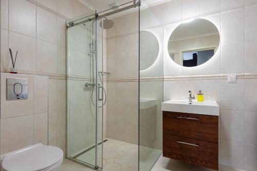 a bathroom with a shower and a toilet and a sink at Vaivutės Apartamentai No3 in Darbėnai