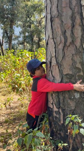 a young boy hugging a tree at Ananta Prana in Mussoorie