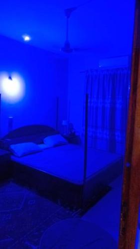 a blue bedroom with a bed with a blue light at Luxury House in Porto-Novo