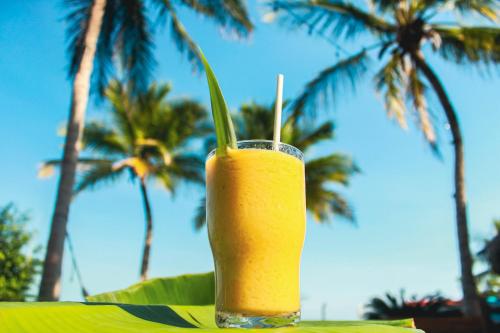 a glass of orange juice sitting on a table with palm trees at Tortuga Bacalar in Bacalar