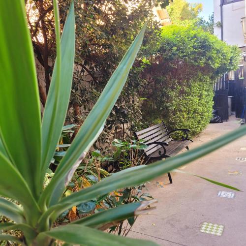 a park bench sitting on a sidewalk next to bushes at De Blasis Budget Rooms in Santiago