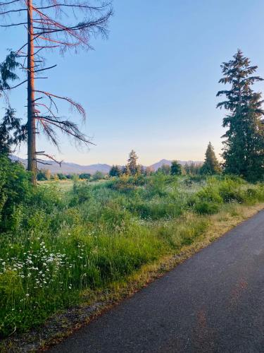 an empty road next to a field with trees at Olympic Trail Retreat in Sequim