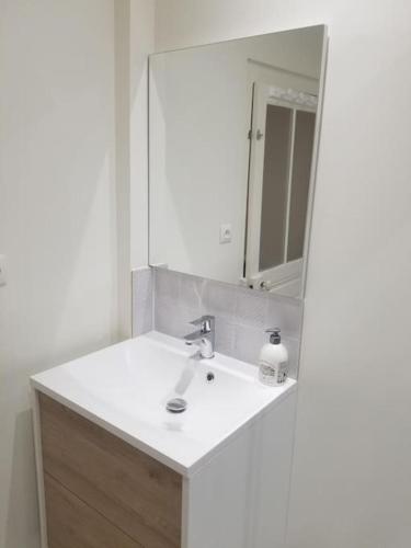 a bathroom with a sink and a mirror at Cocon 1 calme au cœur historique in Périgueux